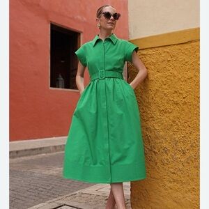 Kelly Green Tuckernuck Chloe dress. Sz M.